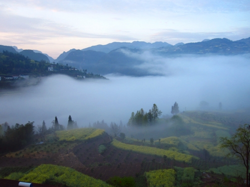 秭归县梅家河乡